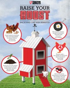 Tractor Supply Kicks Off Chick Days Image